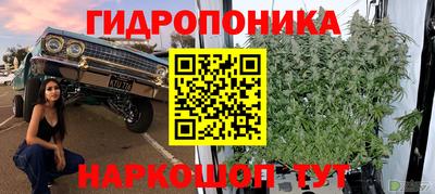 mix Усть-Илимск