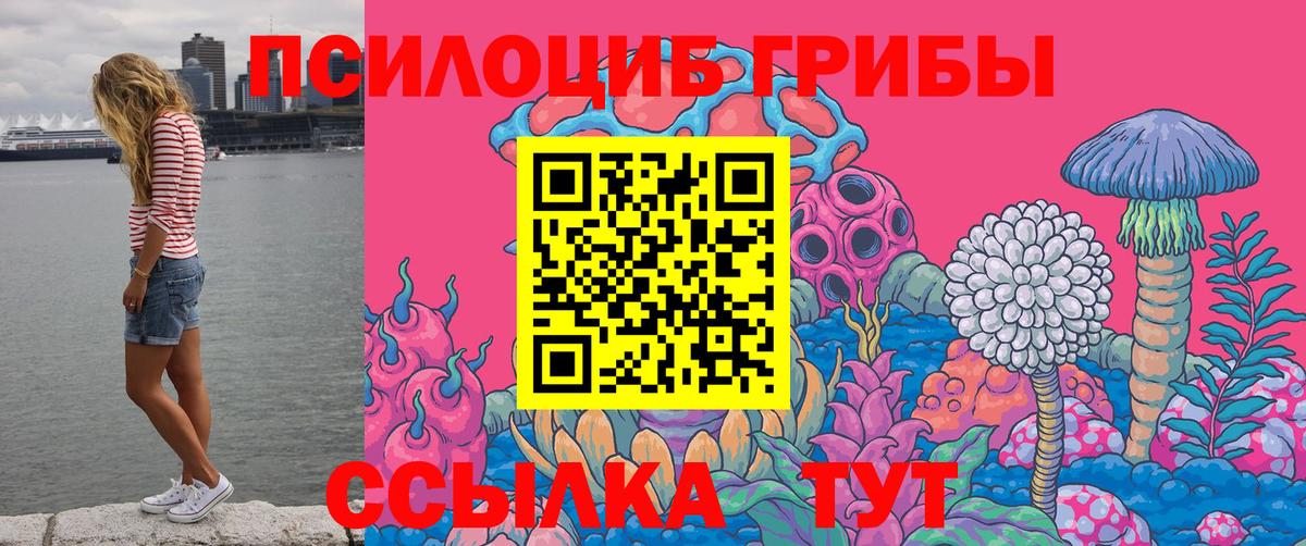 Галлюциногенные грибы GOLDEN TEACHER  Вход с VPN  Псилоцибиновые грибы GOLDEN TEACHER  Минеральные Воды 